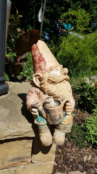 Rob Garden Gnome